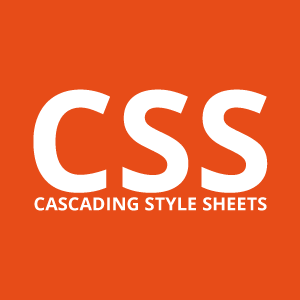 Imagen que muestra el logo CSS
